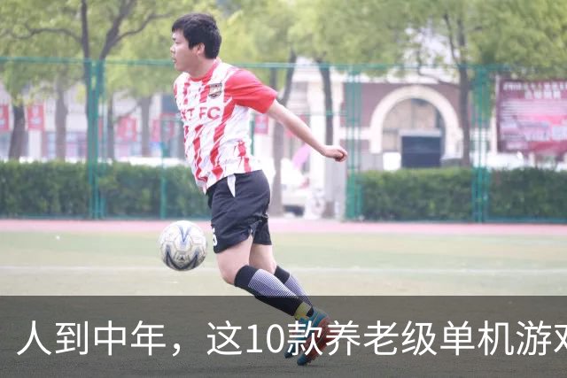人到中年，这10款养老级单机游戏神作，值得一试！建议收藏慢慢玩