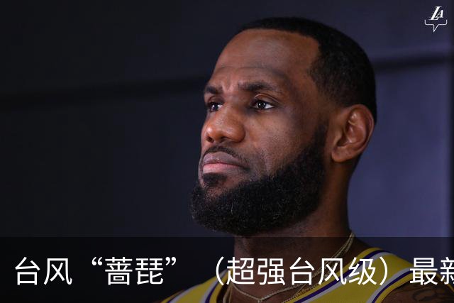 台风“蔷琵”（超强台风级）最新路径公布，最大风力达17级，将给浙沪闽台带来强风雨，或在福建二次登陆