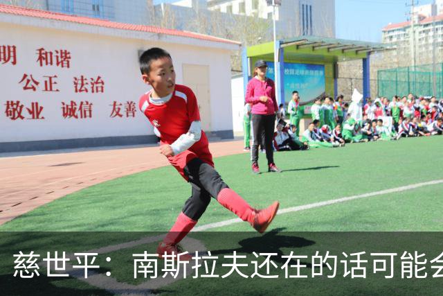 慈世平：南斯拉夫还在的话可能会击败美国队 塞尔维亚都差点赢了