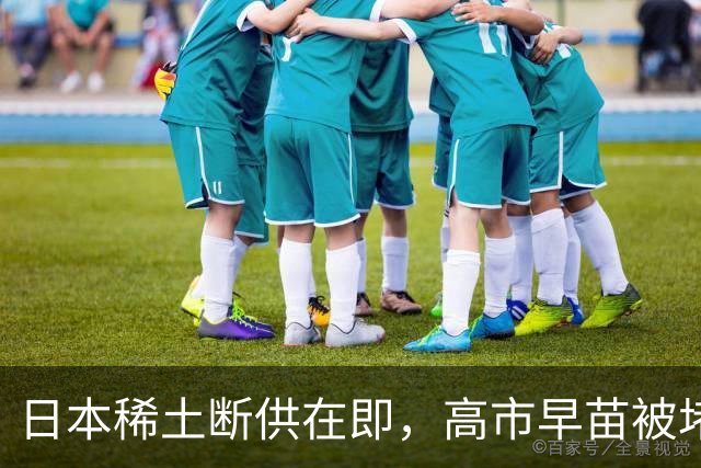 日本稀土断供在即，高市早苗被堵国会喊下台：毛宁一句话表态