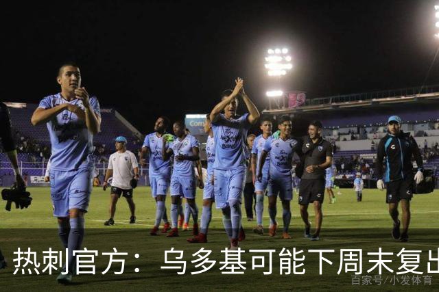 热刺官方：乌多基可能下周末复出，麦迪逊可战切尔西