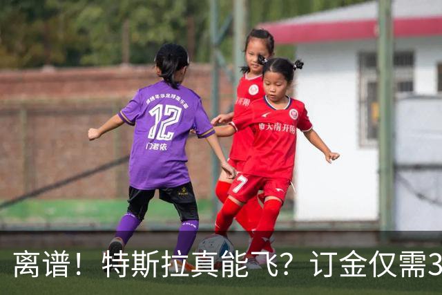 离谱！特斯拉真能飞？订金仅需33万.。。