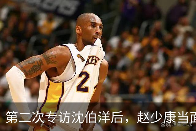 第二次专访沈伯洋后，赵少康当面交底，黄珊珊语出惊人，真不简单