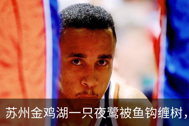 苏州金鸡湖一只夜鹭被鱼钩缠树，市民爬树救下，“有6个鱼钩，脚和翅膀全被钩住”，公园称此处并非垂钓点
