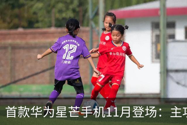 首款华为星芒手机11月登场：主攻性价比 压力给到友商