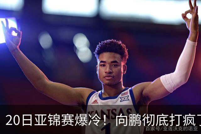 20日亚锦赛爆冷！向鹏彻底打疯了，李天阳制造惨案，国乒冲冠有望